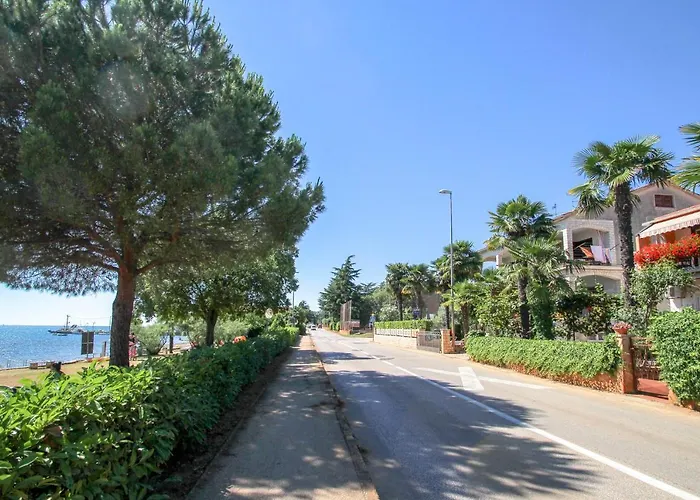Apartamento Alba