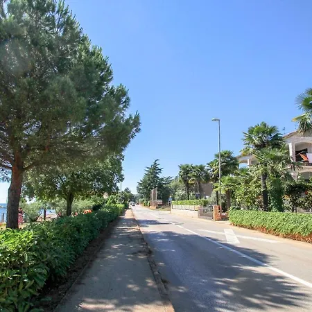 Apartment Alba