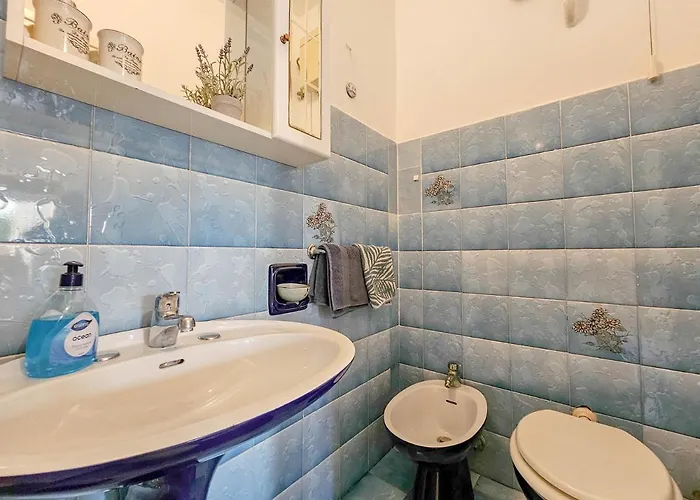 Alba Appartement Brtonigla